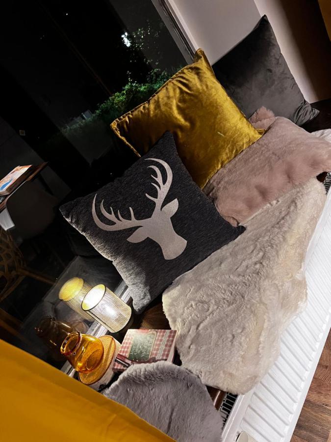 Bavaria Mountain Lodge Ski Arber Osser Bayrischer Wald Designer Ferienwohnung Lohberg Esterno foto