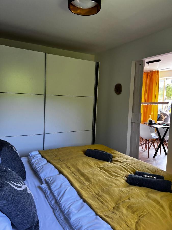 Bavaria Mountain Lodge Ski Arber Osser Bayrischer Wald Designer Ferienwohnung Lohberg Esterno foto